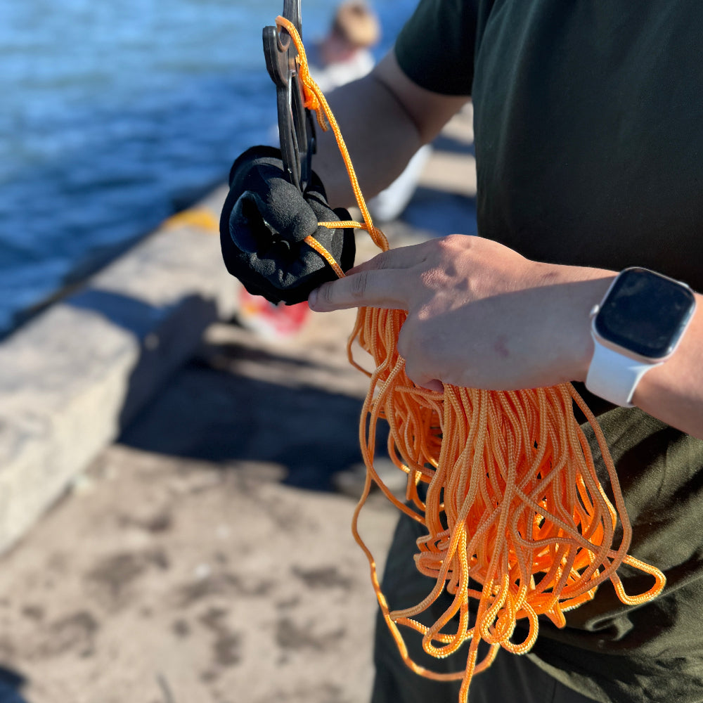 11/22 旧金山湾区亲子抓螃蟹活动🦀