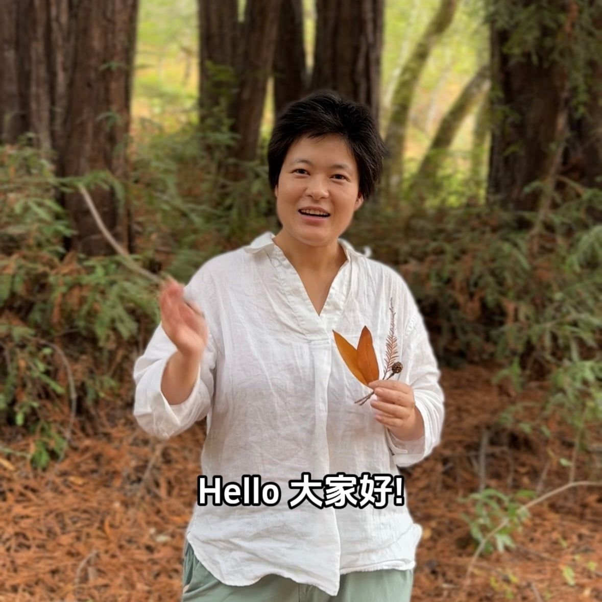 湾区亲子回归大自然户外探索课🌿