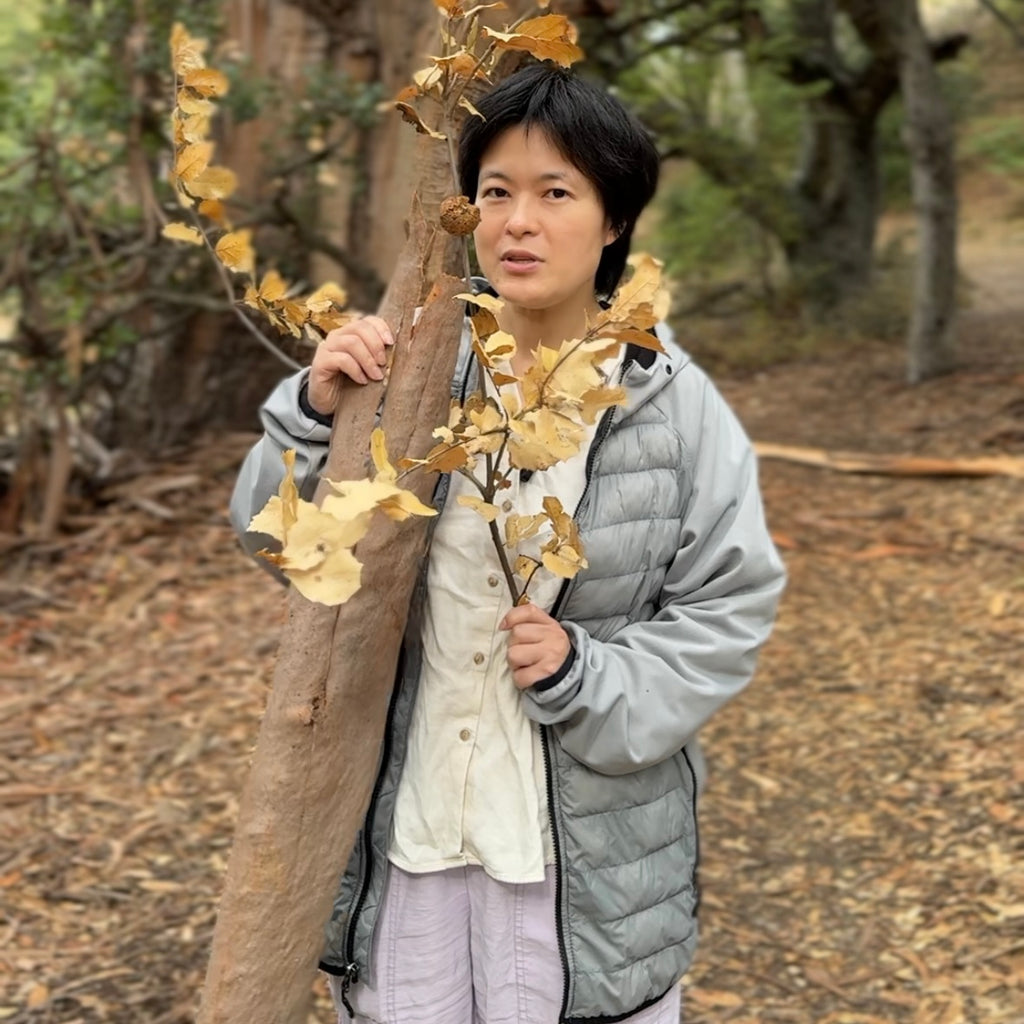 11/2湾区亲子大自然户外探索课🌿