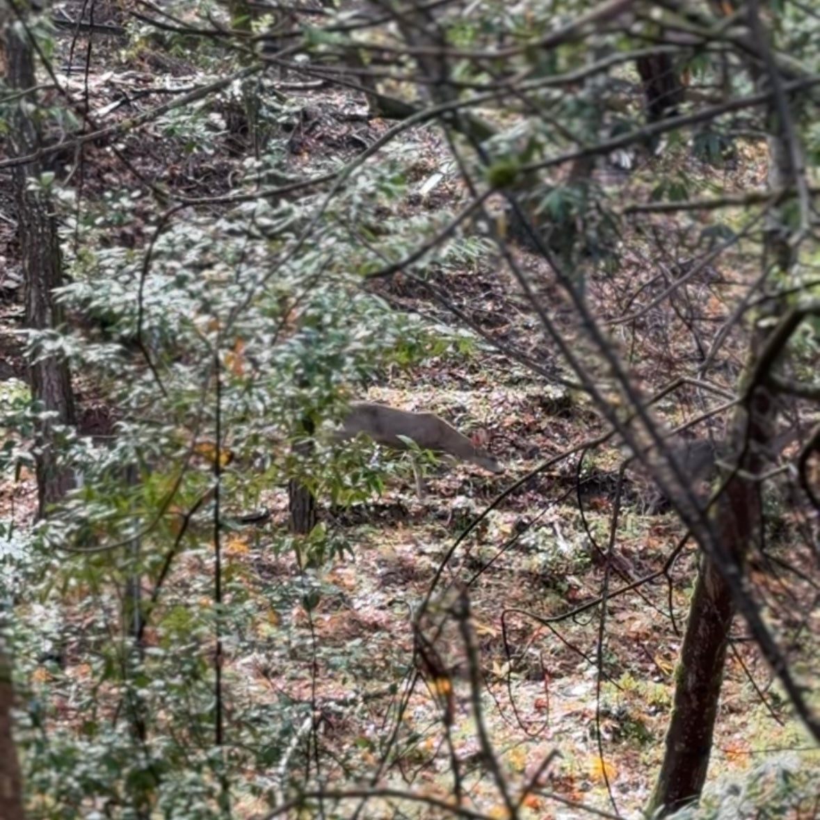 11/15 湾区亲子大自然户外探索课🌿