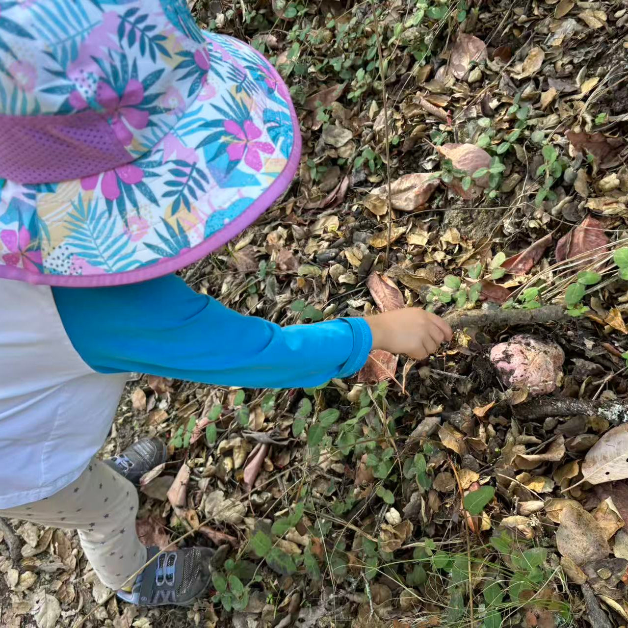 11/23 Ms. Susan 的自然户外课🌿