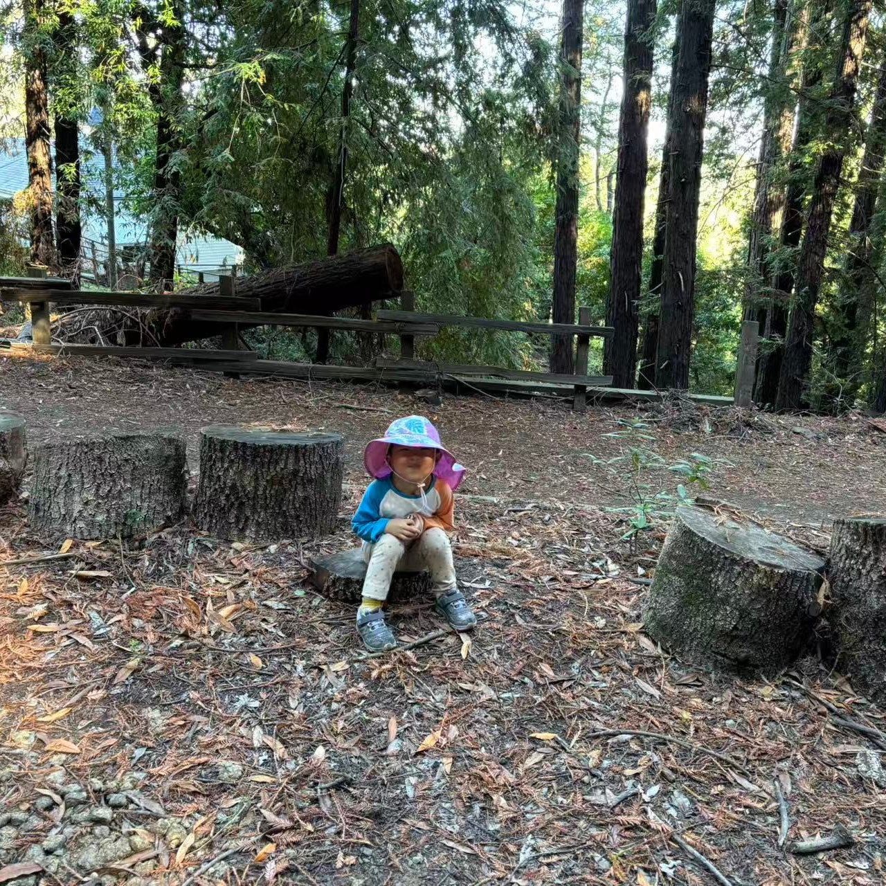 11/23 Ms. Susan 的自然户外课🌿